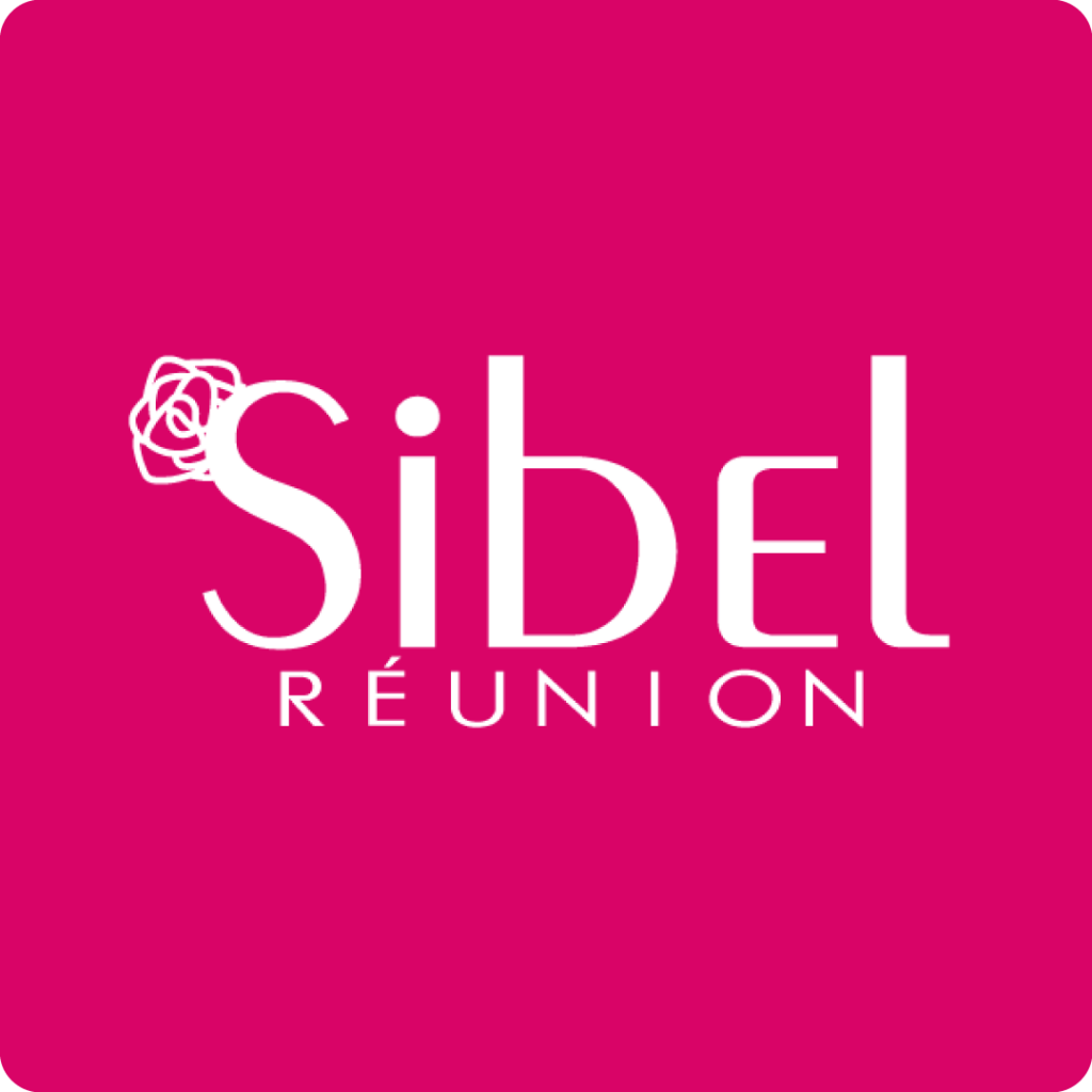 Sibel-Réunion-Groupe-L2D